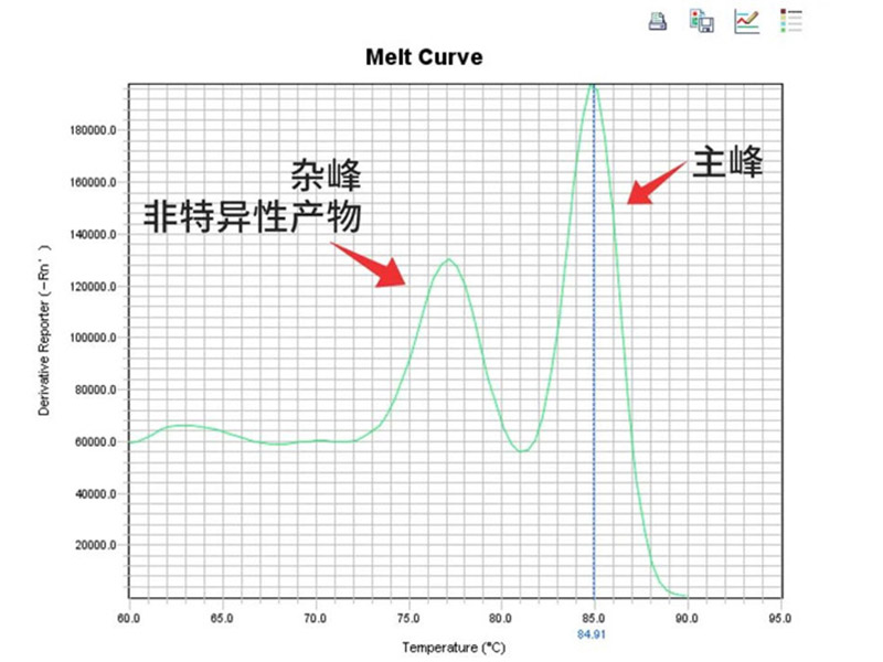 师姐喊你抄作业 | 非凡探秘qPCR 3大疑