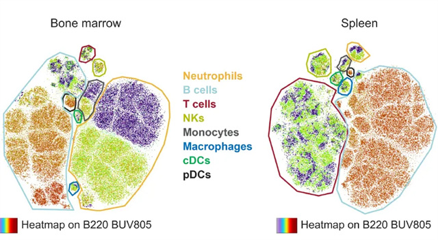 1758870204477233.jpg wx_fmt=png&tp=webp&wxfrom=5&wx_lazy=1(6).jpg