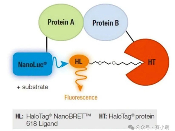 产品应用｜Varioskan LUX多功能酶